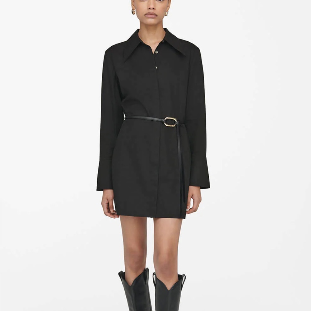 Anine Bing Shirt Dress
